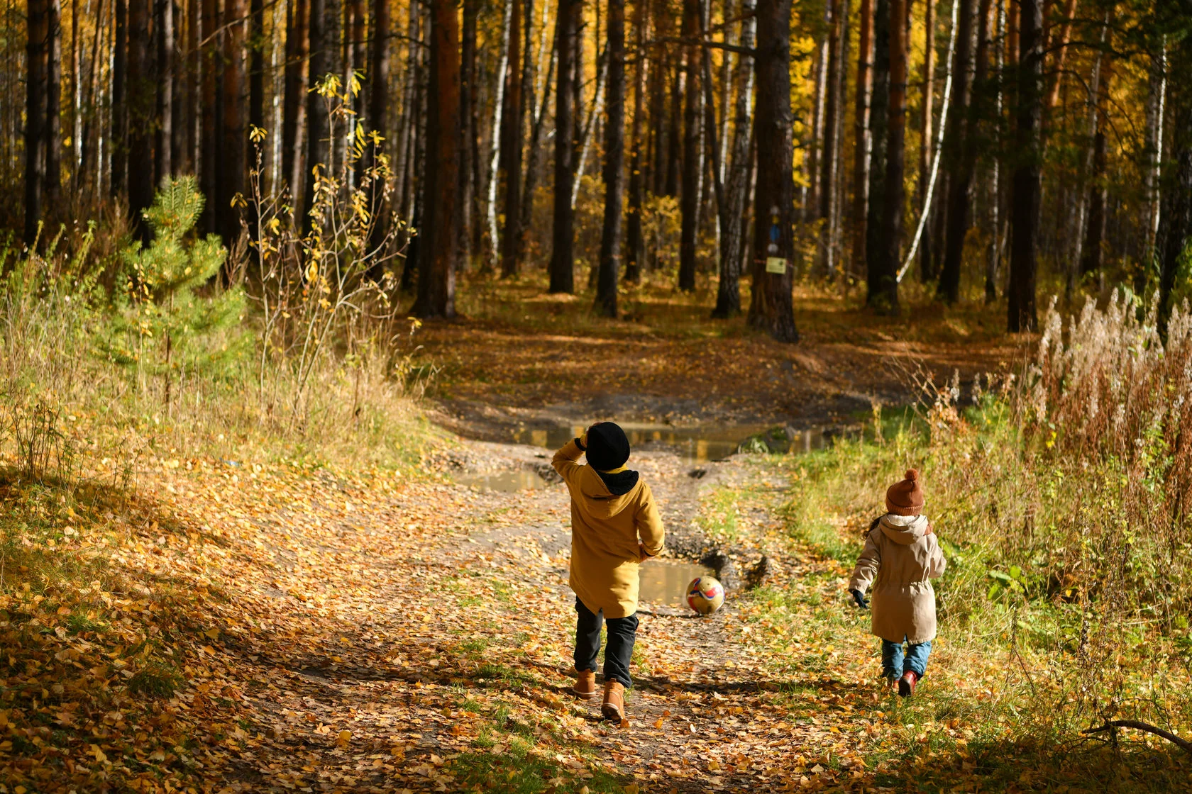 Физкультурно-спортивное мероприятие "Тюменская тропа" 